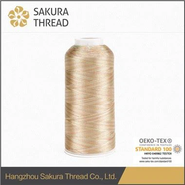 Filo da ricamo multicolore